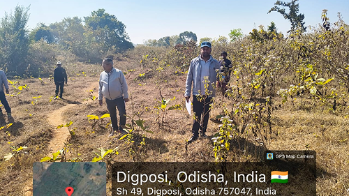 Impact Project Image